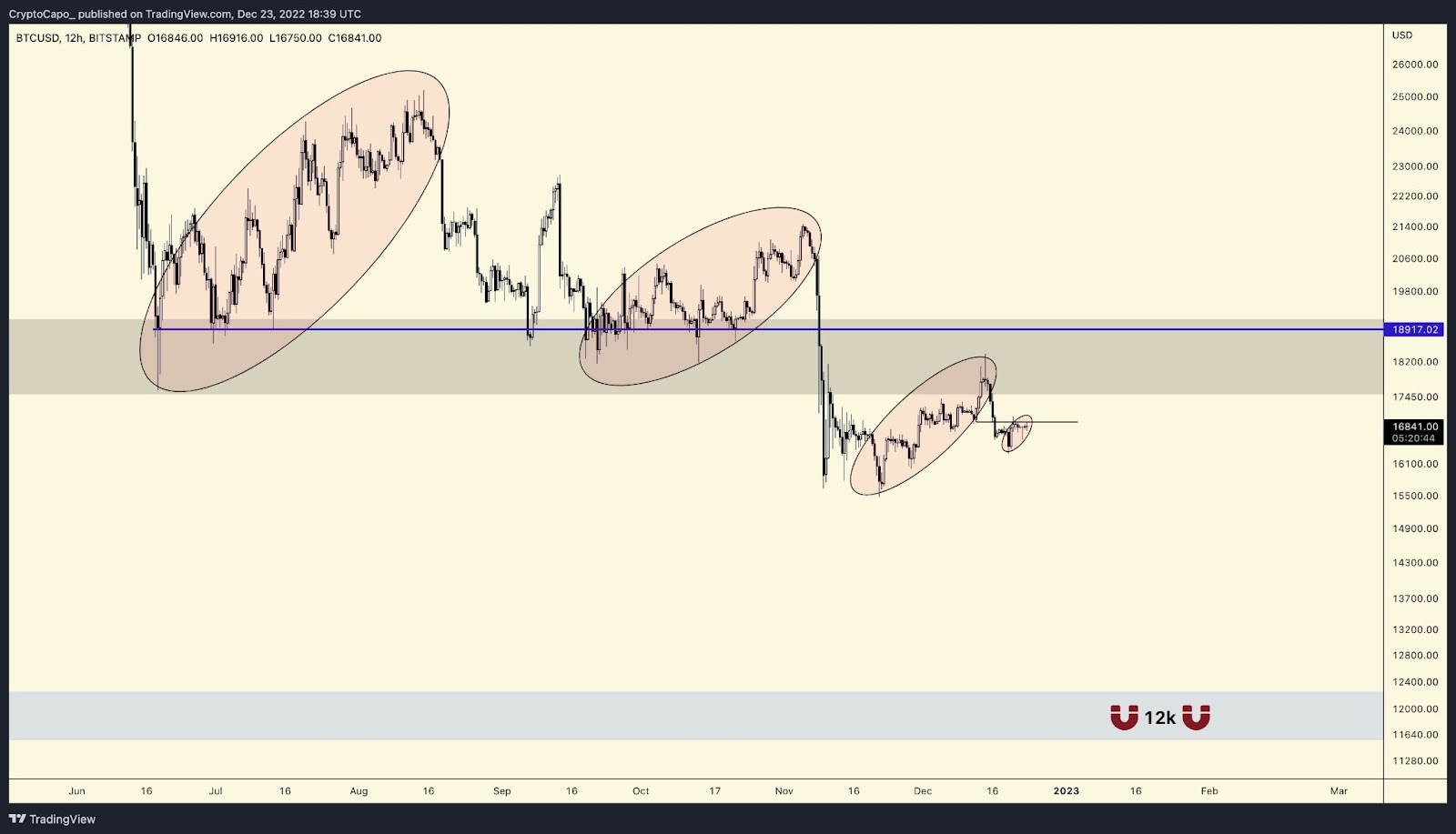 Altcoin BloodBath on Horizon! Analyst Warns of Drastic Crypto Cras