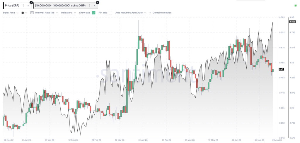 On-Chain Data Shows Ripple Whales Have Increased XRP Accumulation;