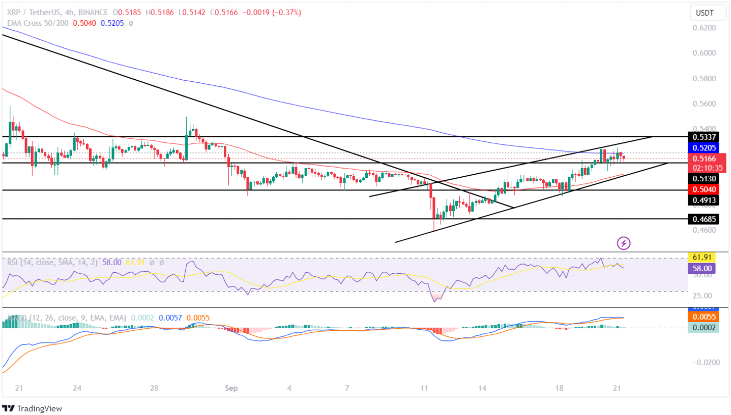 XRP Price Analysis: Is XRP On A Path To Extreme Correction?