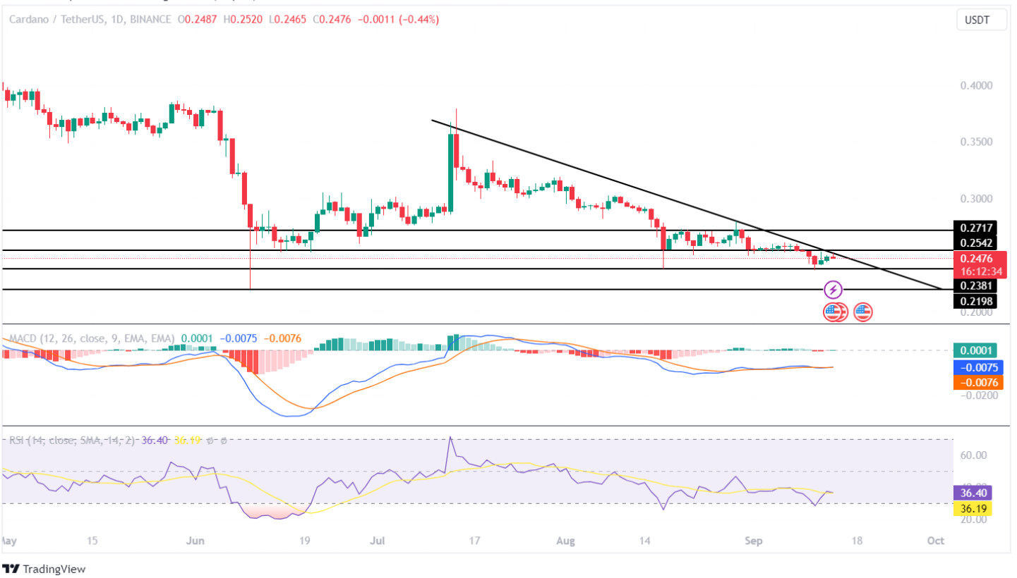 Cardano Price Plunge: What Lies Ahead for ADA Price?
