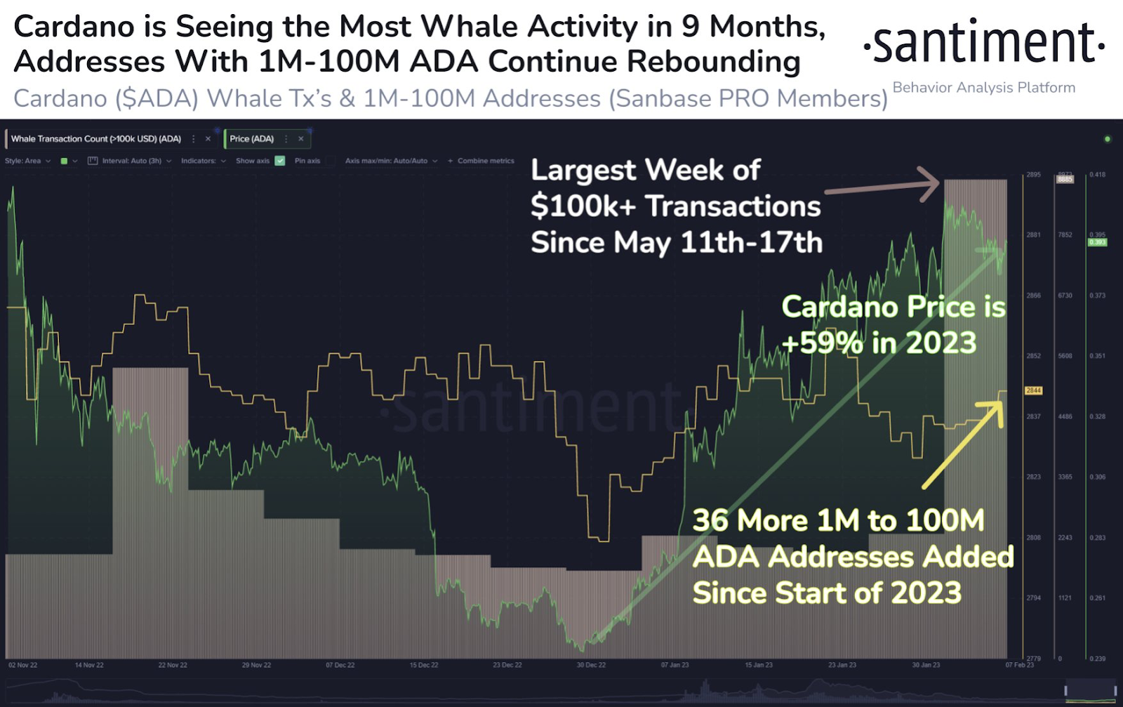 Cardano (ADA) Whales Records a 9-Month High Activity, Analysts For