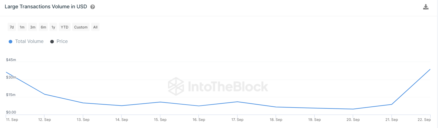 Shiba Inu Escapes Bearish Grip Following Spike In Whale Activity! 
