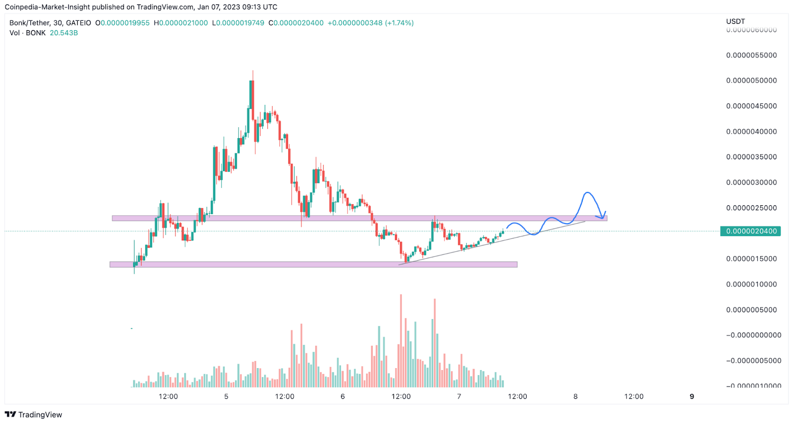 BONK Investors got Bonked! Will Solana Price Begin With Fresh Inve