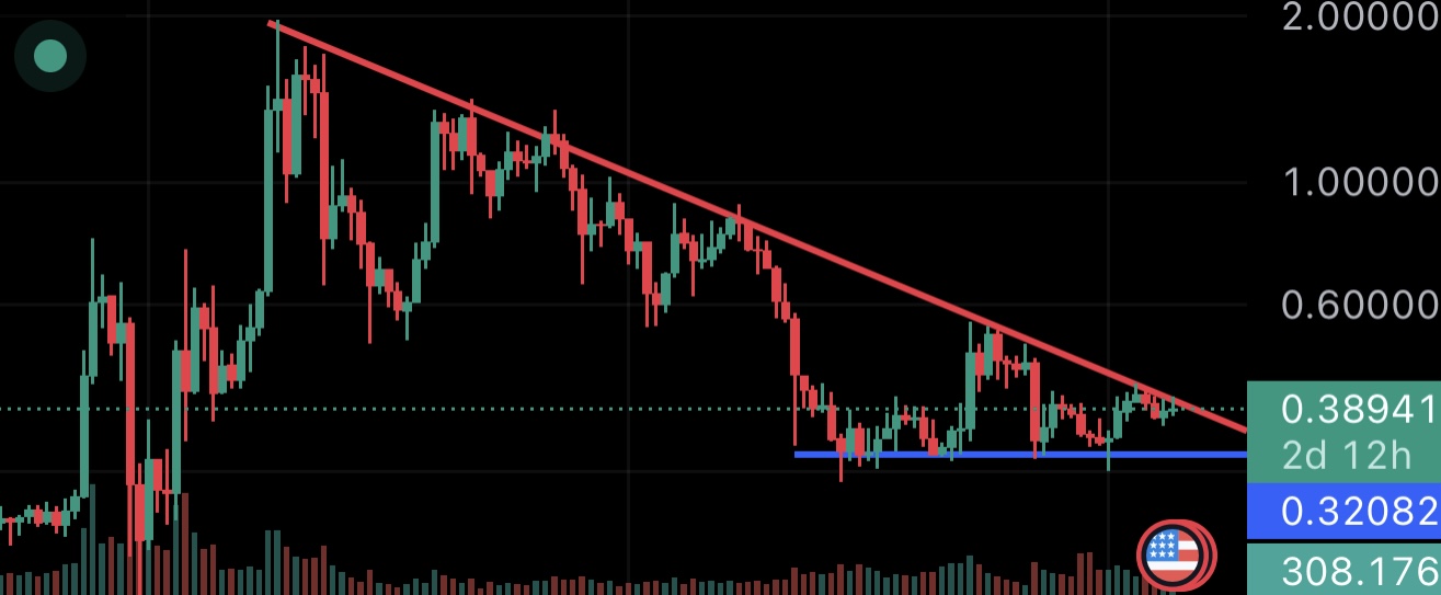 XRP Price Analysis: Large XRP Transactions by Whales Spark Specula