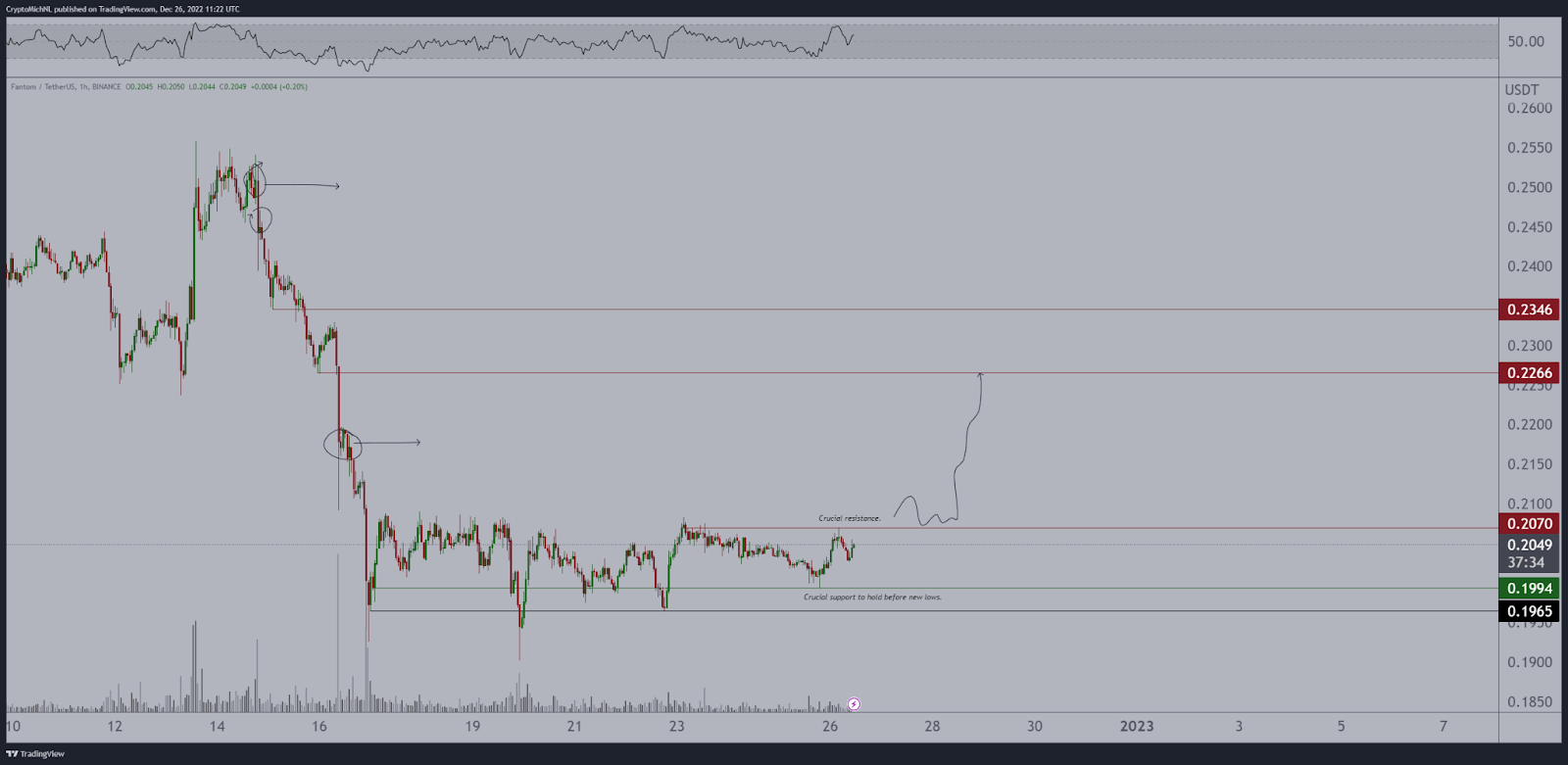 FTM, EGLD, and MATIC To Make a Comeback Anytime Soon! Analyst Maps