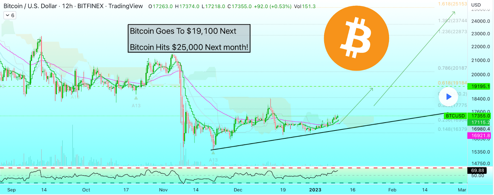 Bitcoin to Hit $19K in the Next 10 Days &amp; $25K in February