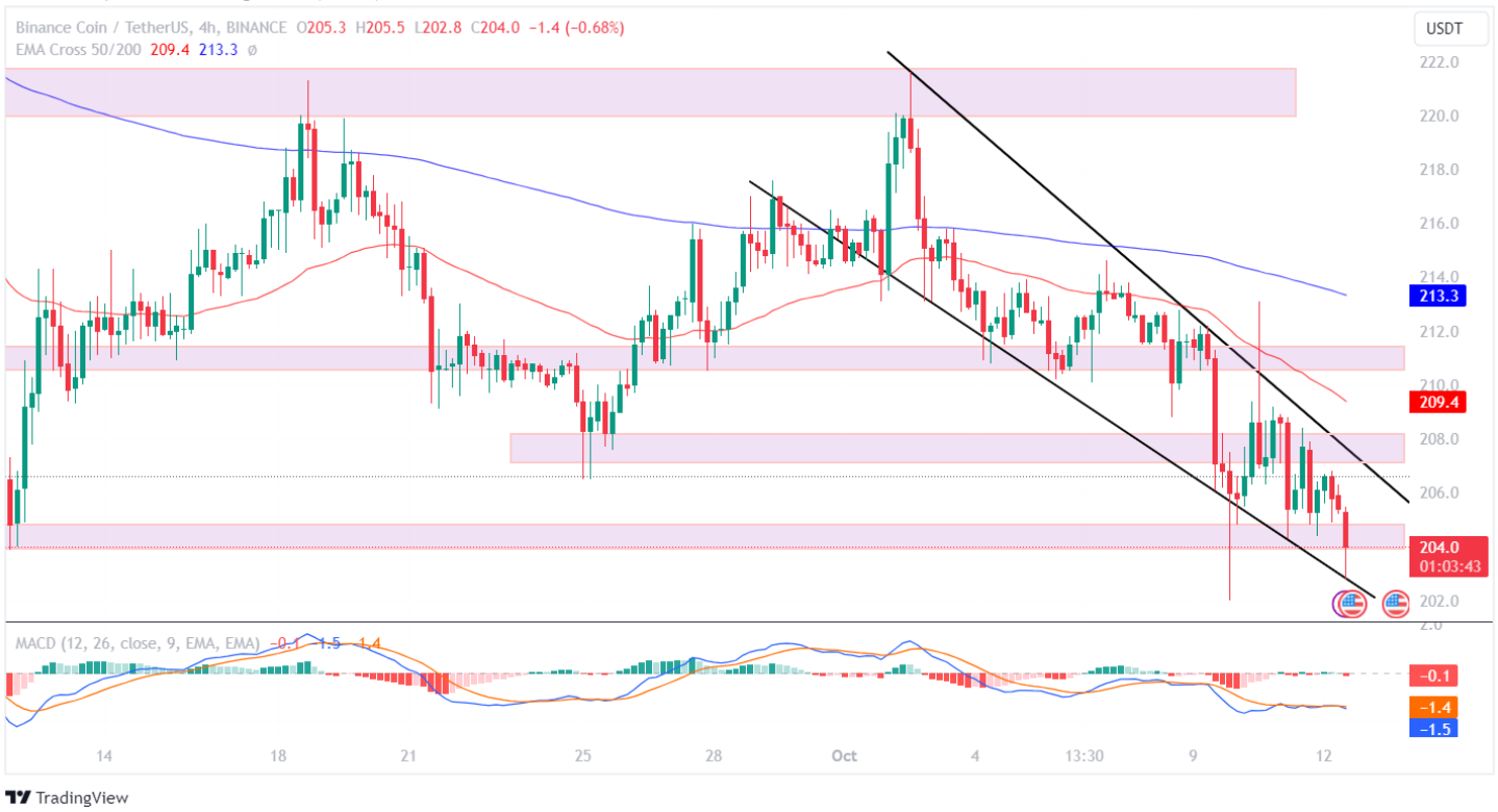 Binance Coin Price Losing Momentum! Will The BNB Price Plunge Belo