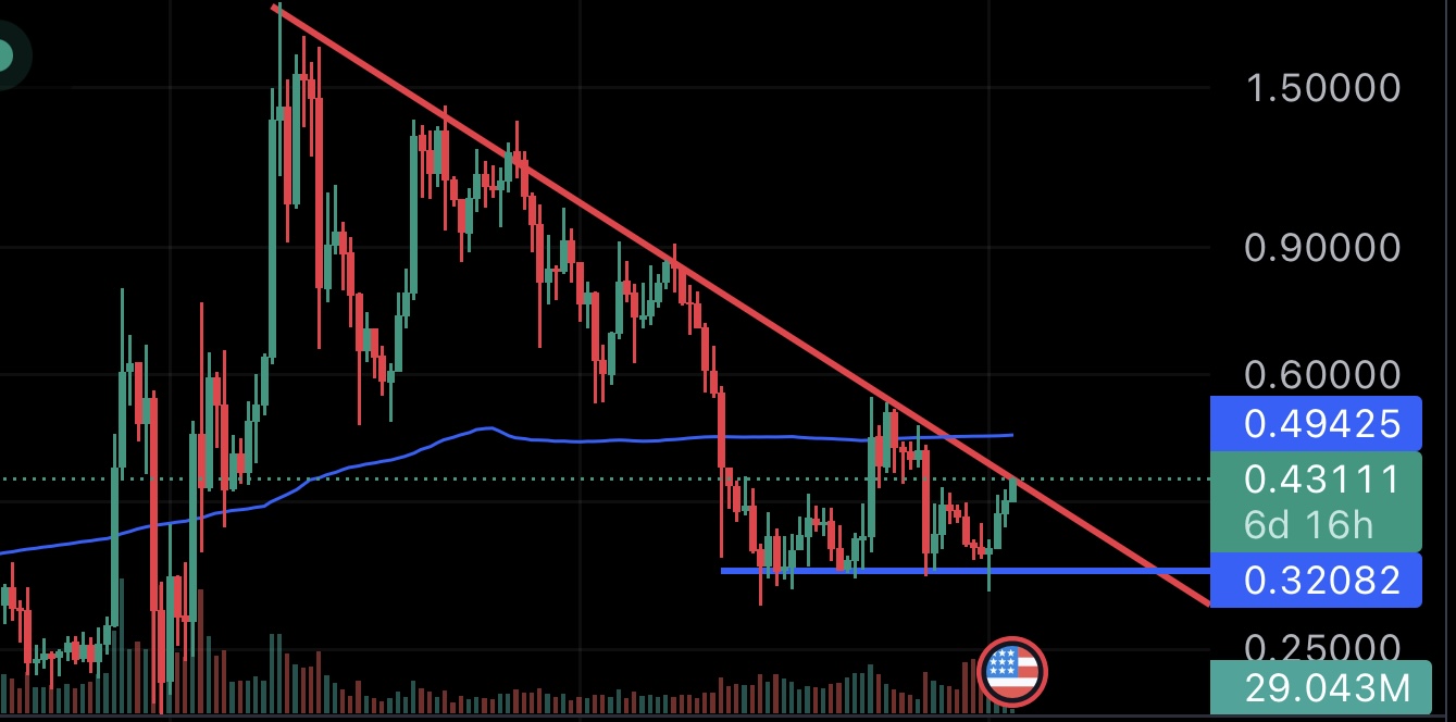 Ripple on the Rise: Will XRP Price Hit $0.43 Next? Experts Weigh I