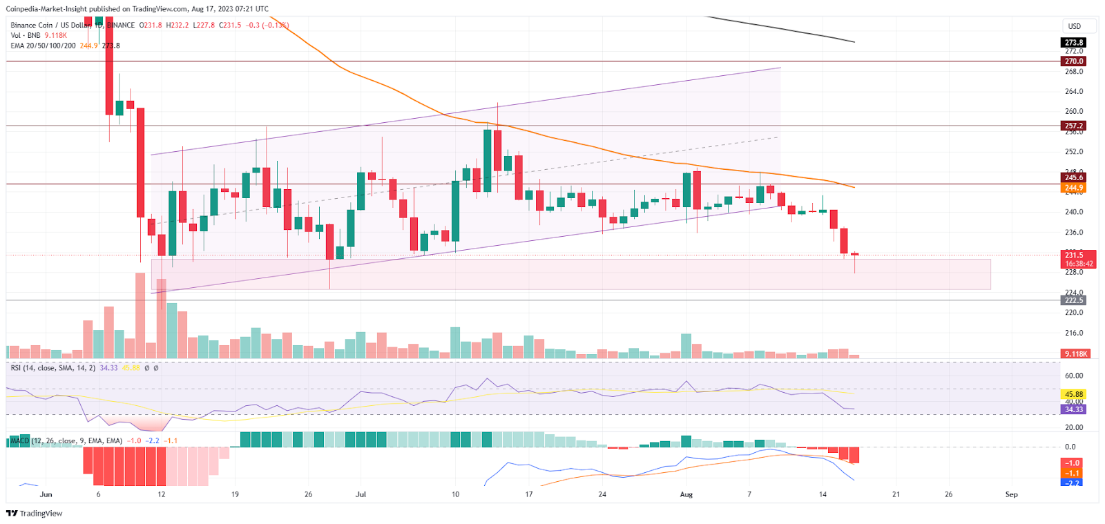 BNB Price Analysis: With Altcoins Crashing, BNB Falls To $230- Is 