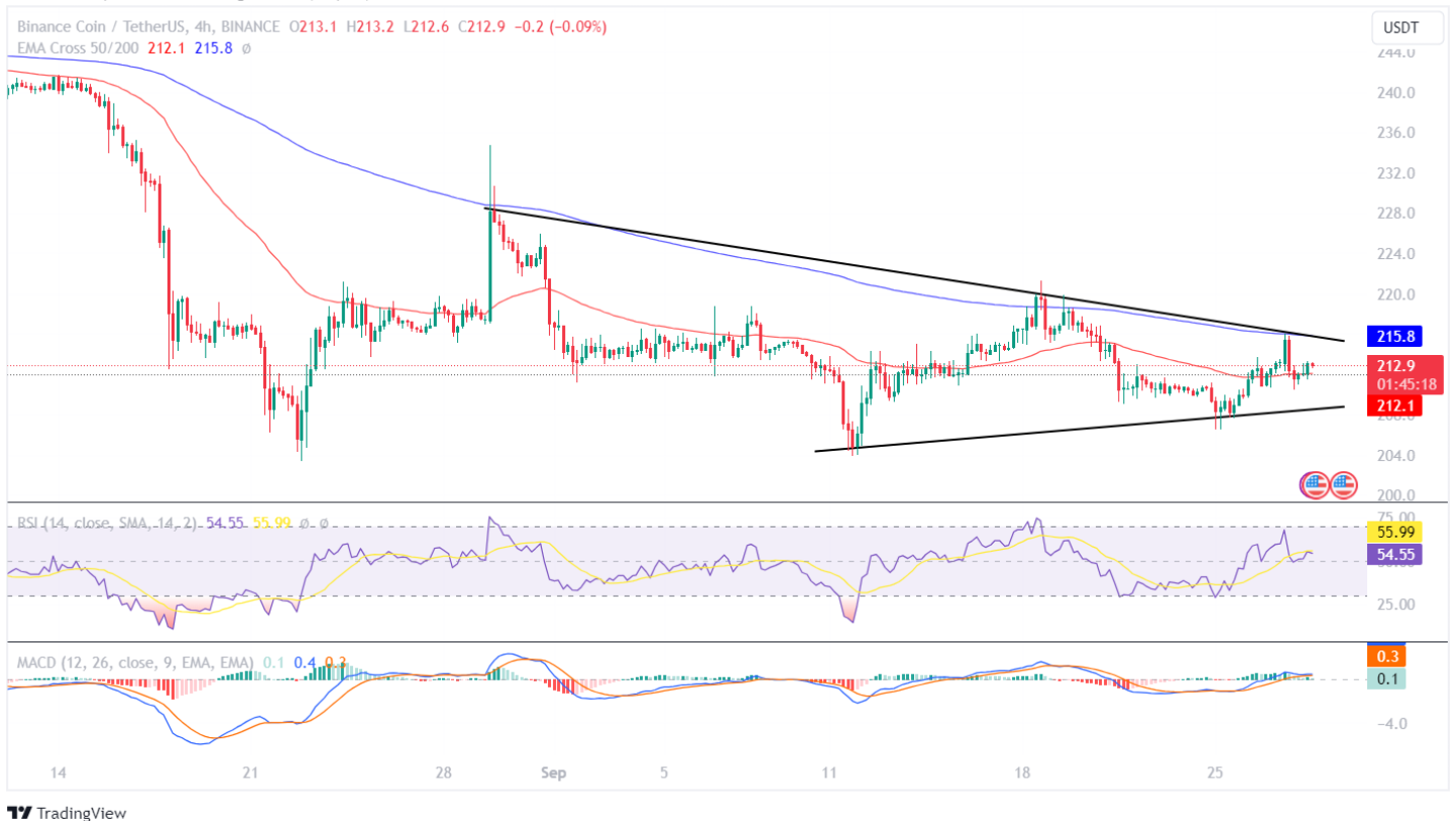 Binance Coin Price Analysis: Will BNB Price Bounce Back Soon?