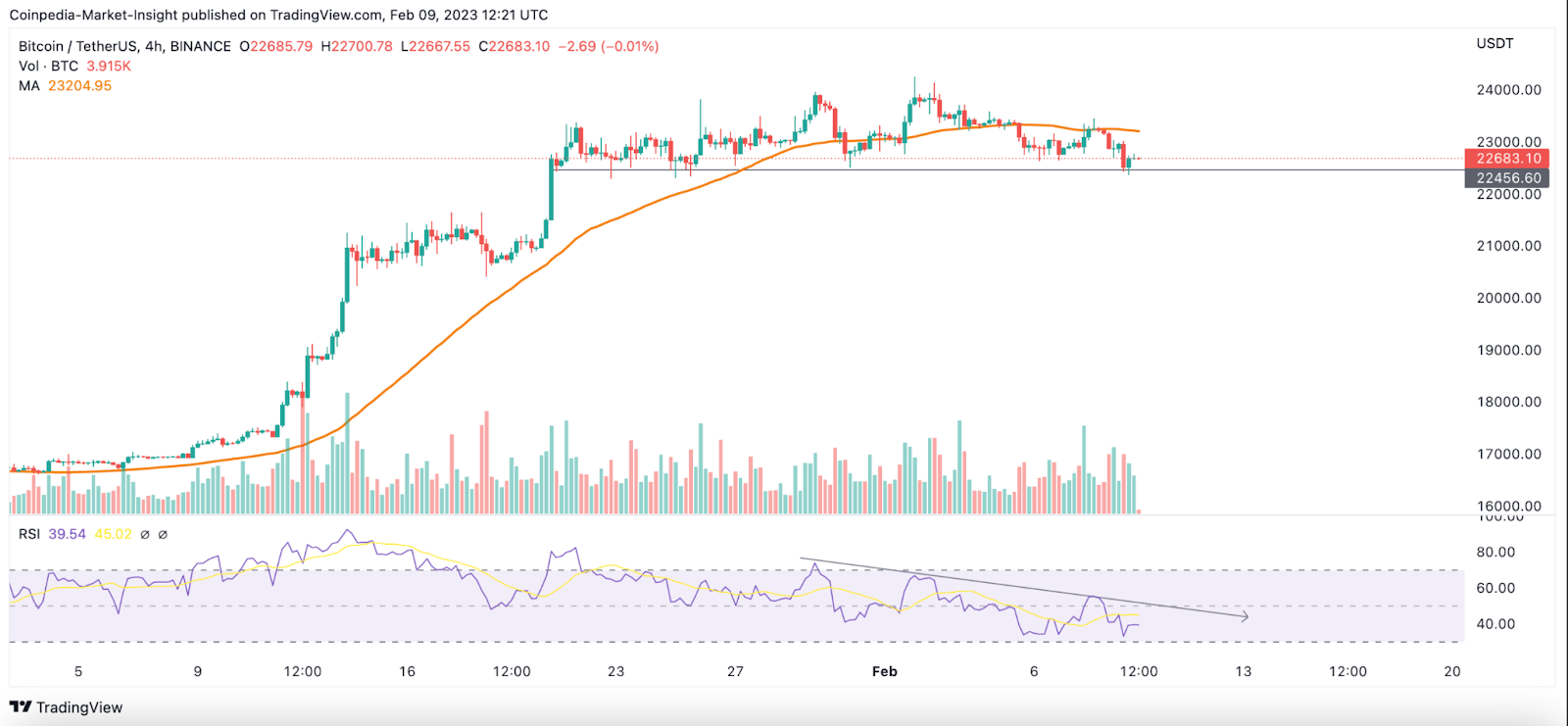 Bitcoin Bears is Dire Strait-This is What You Can Expect from the 