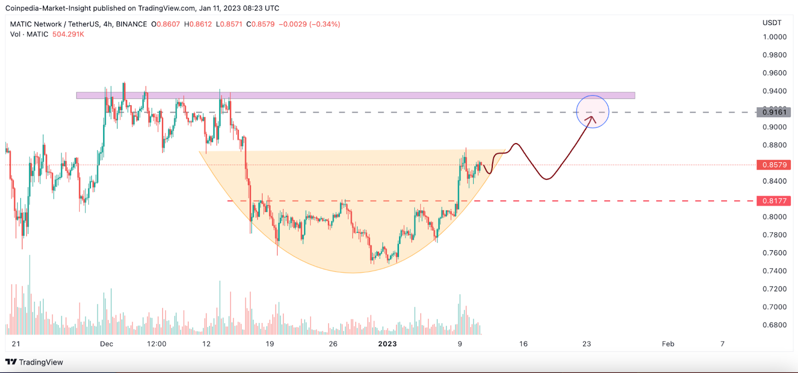 Top Altcoins That may Keep Up the Bullish Momentum When Bitcoin Ca