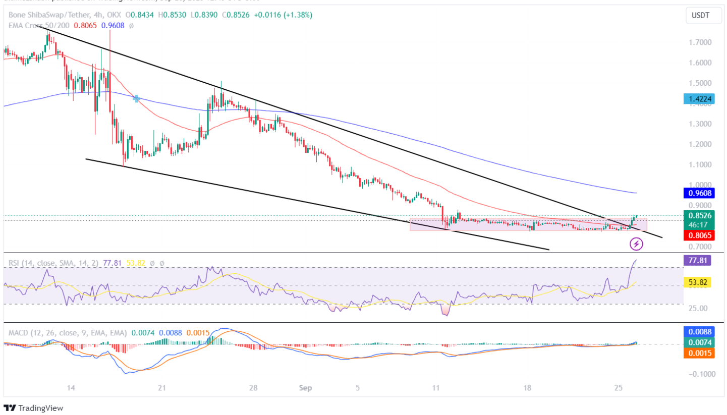 Bone Price Analysis: Is BONE Coin On The Verge Of A Major Breakthr