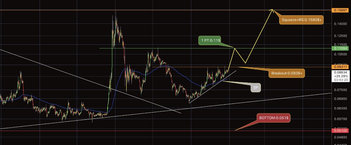 DOGE Price Rally – Will Dogecoin Hit $0.1 in the Next 48 Hours?