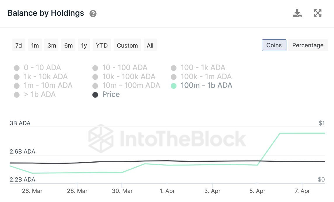 Cardano Witnesses Massive Whale Accumulation! ADA Price May See Ma
